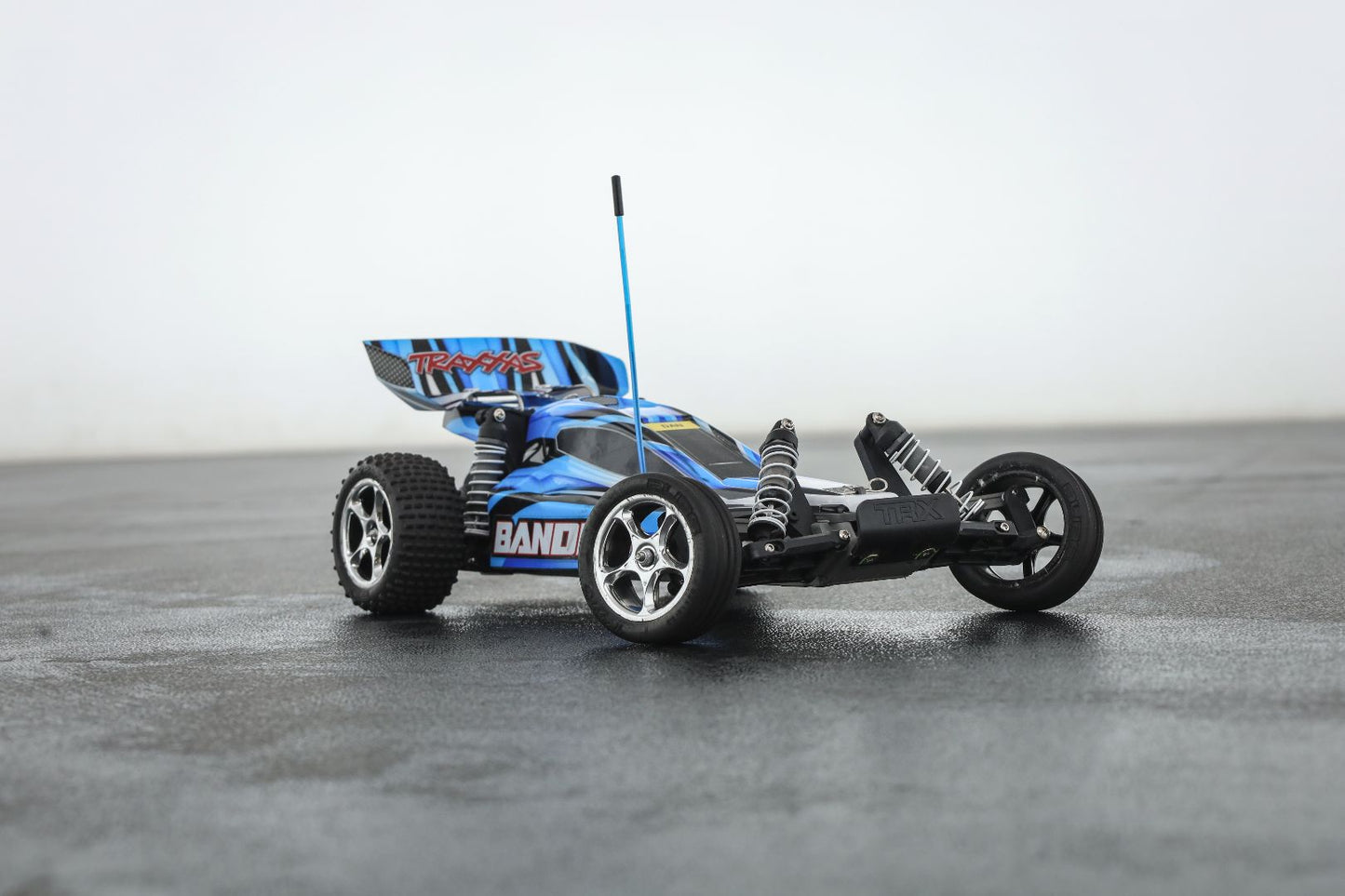 Traxxas Bandit 1/10 Off Road Buggy