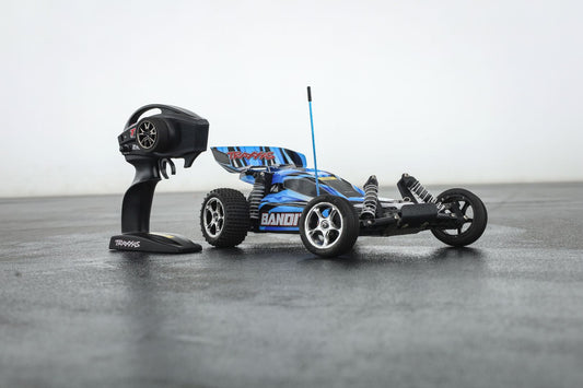 Traxxas Bandit 1/10 Off Road Buggy